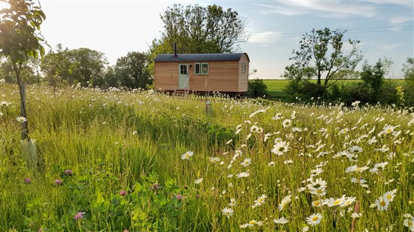 shepherd's hut